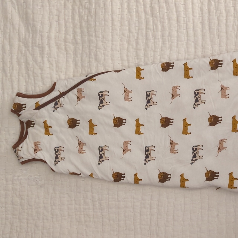 Kyte baby bamboo sleep sack size small TOG 2.5